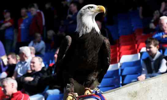 Kayla was attacked by Charlton Athletic fan Daniel Boylett during their visit to Selhurt Park for a Capital One Cup tie in September 2015. Photograph: Scott Heavey/Getty Images 