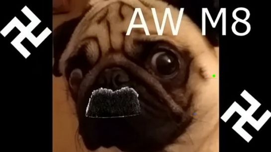 The 'M8 Yer Dugs a Nazi' video went viral but the court heard it caused huge offense to many Jewish people