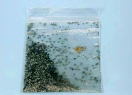 Experts say a 'quite effective' bomb could have been made from the items at Peter Morgan's home